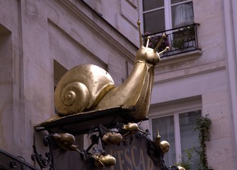 golden snail