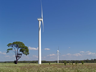 wind power stations