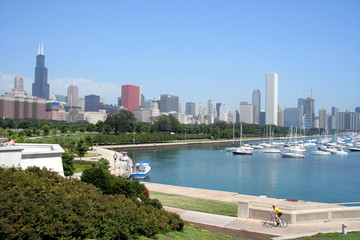 chicago skyline and grant park marina