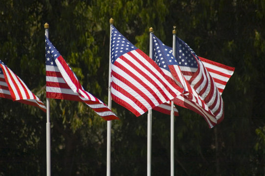 american flags