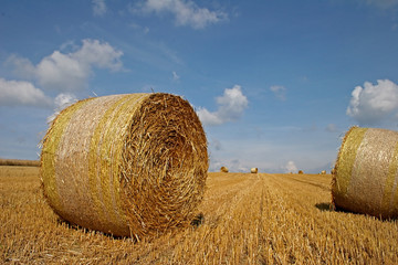 straw bales 1