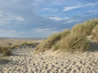 chemin dans dune vers plage