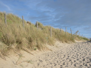 dune barrière