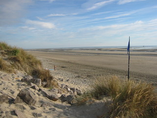 Fototapeta na wymiar dune mer plage drpeau bleu