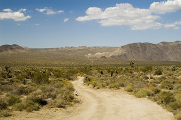 desert road