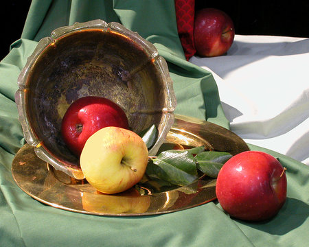still life #24