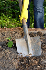 digging by shovel