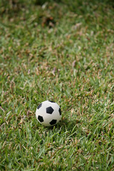 soccer ball