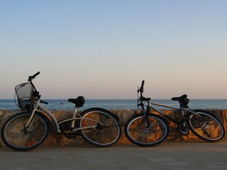 Obraz premium bicicletas junto al mar