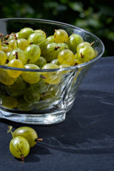 juicy gooseberry