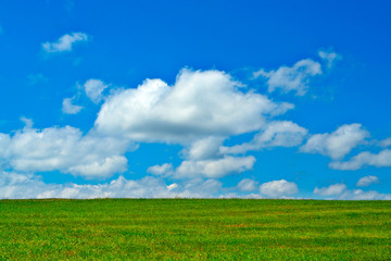 Fototapeta na wymiar green field, blue sky and white clouds