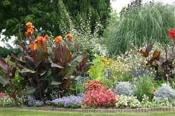 blumenarrangement in südfrankreich
