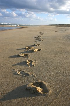 empreintes de pas sur le sable