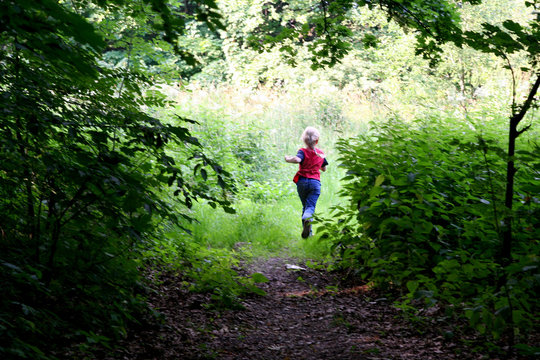 Evening Walk