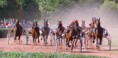 Vlies Fototapete Reiten horse racing