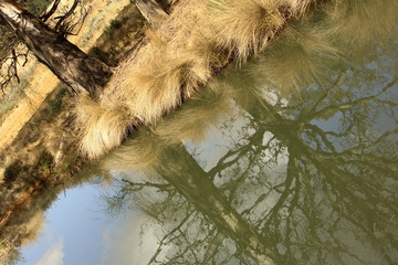 river reflections
