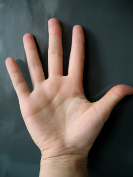 the hand on gray background.