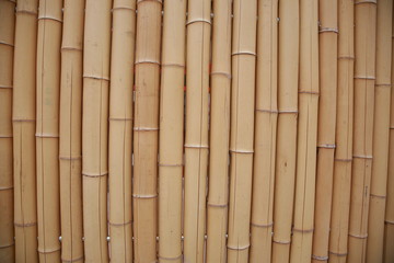 bambuszaun