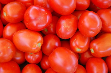tomaten
