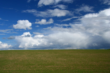 Fototapeta na wymiar field under sky