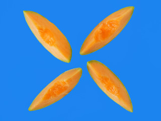 melon 4