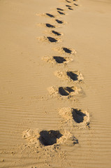 footprints