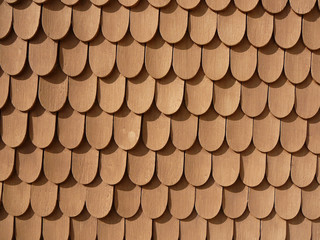 fish scale design on wall © koi88