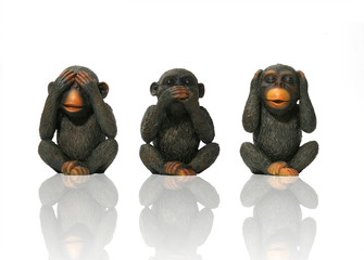see no evil. speak no evil, hear no evil © Stephen Coburn