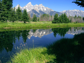Fototapeta premium grand teton np
