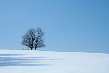 Fototapeta na wymiar między śniegiem i niebo