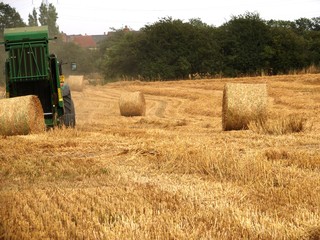 Obraz premium farming
