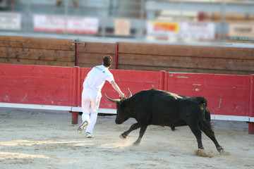 course de protection