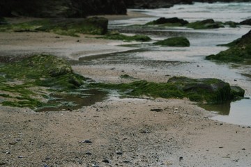 cornish beach