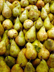 pear background