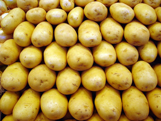 potato background