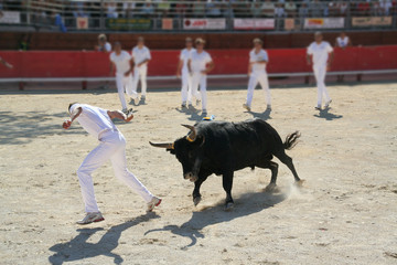 raseteur