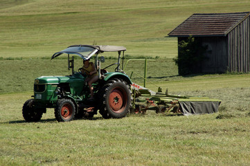 heu machen © Grischa Georgiew