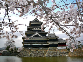 matsumoto castle with cherry blossoms - 1077543