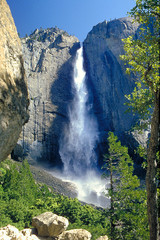 Fototapeta premium Yosemite spada