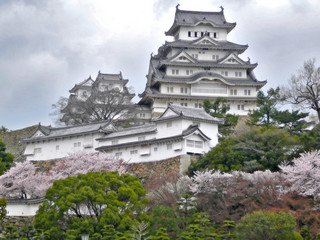 himeji castle during sakura - 1083337