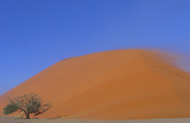 dune sous le vent