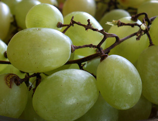 grape