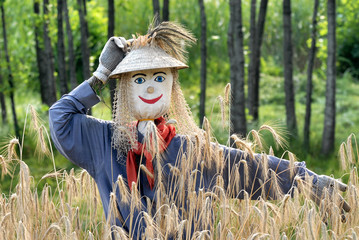 scarecrow