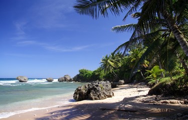 Fototapeta na wymiar tropikalnej plaży