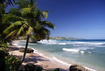 Crédence de cuisine en verre imprimé Caraïbes tropical beach