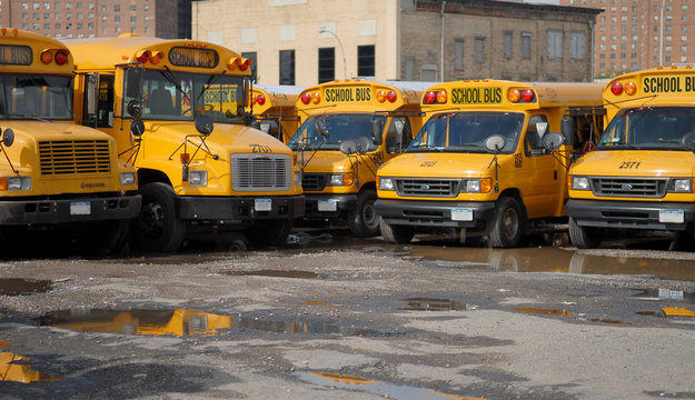 schoolbuses
