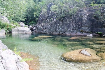 corse