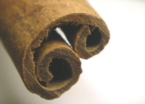 cannelle