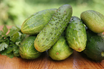 cucumbers