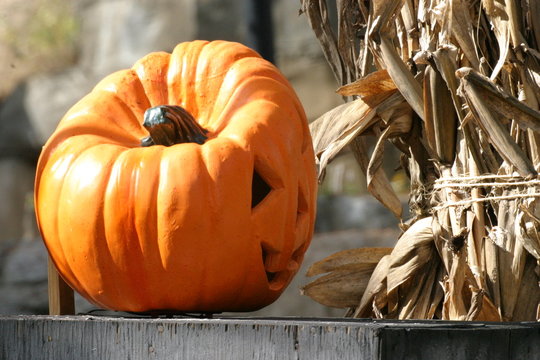 Pumpkin With Corn Stalk